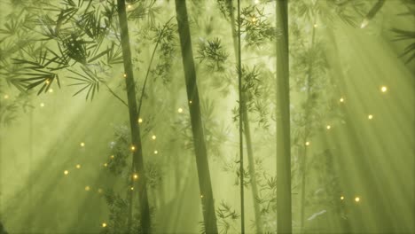Asiatischer-Bambuswald-Mit-Morgennebelwetter